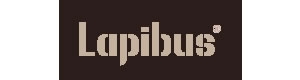 LAPIBUS