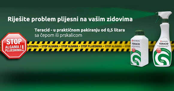 Riješite problem plijesni na vašim zidovima (unutarnji zidovi, stropovi i fasadne površine)