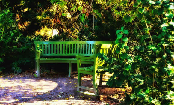 Saznajte kako urediti park