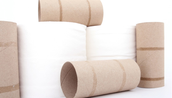 Karton od wc papira - kako ga iskoristiti