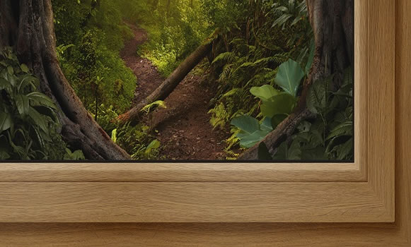 Realwood: Očaravajuće boje prozora i vrata