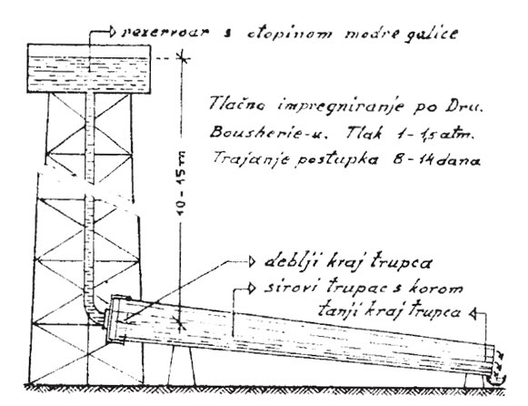Zaštita drveta