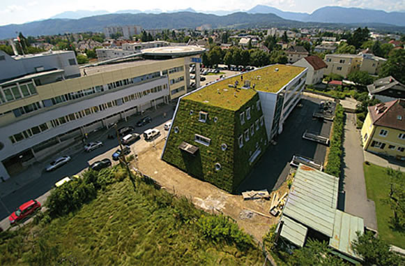 Zeleni krovovi – ravni, kosi i vertikalni