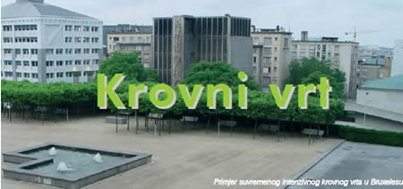 Krovni vrt