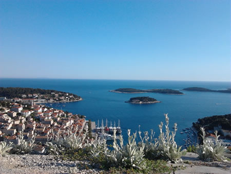 Veliko plavetnilo