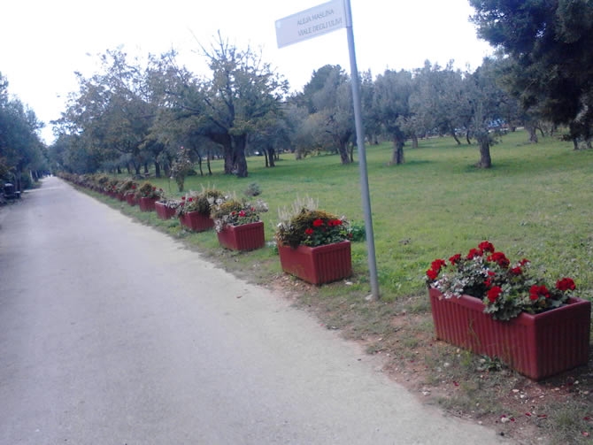 Šetalište: Betonski cvjetnjak